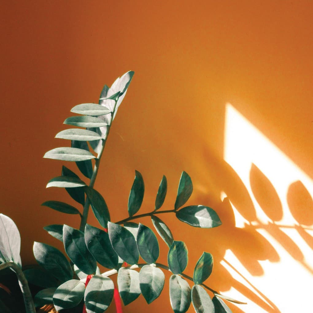 Clinical care overview